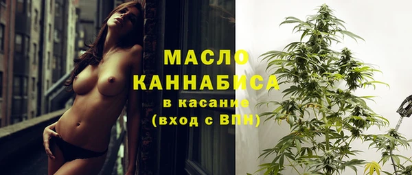 тгк Богородицк