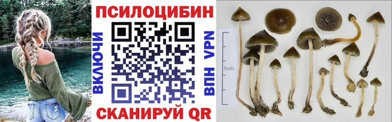 Галлюциногенные грибы MAGIC MUSHROOMS  цена наркотик  Козьмодемьянск 